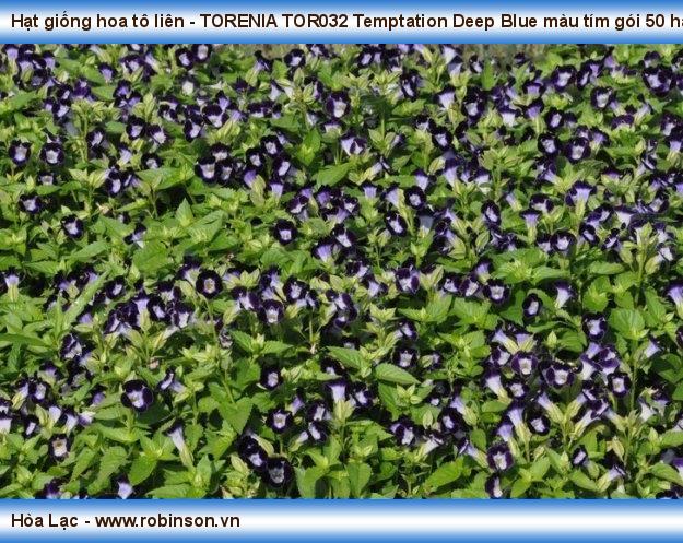Hạt giống hoa tô liên - TORENIA TOR032 Temptation Deep Blue màu tím gói 50 hạt Lê Minh Tiến  (13)