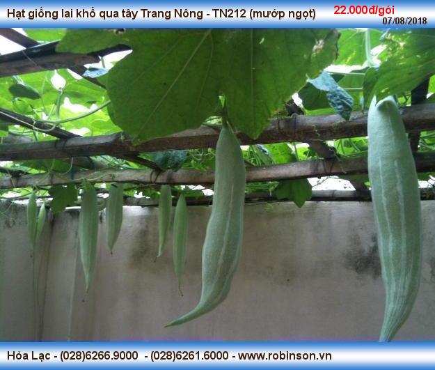 Hạt giống lai khổ qua tây Trang Nông - TN212 (mướp ngọt) Kỳ Long  (2)