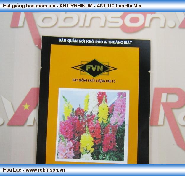 Hạt giống hoa mõm sói - ANTIRRHINUM - ANT010 Labella Mix (1)